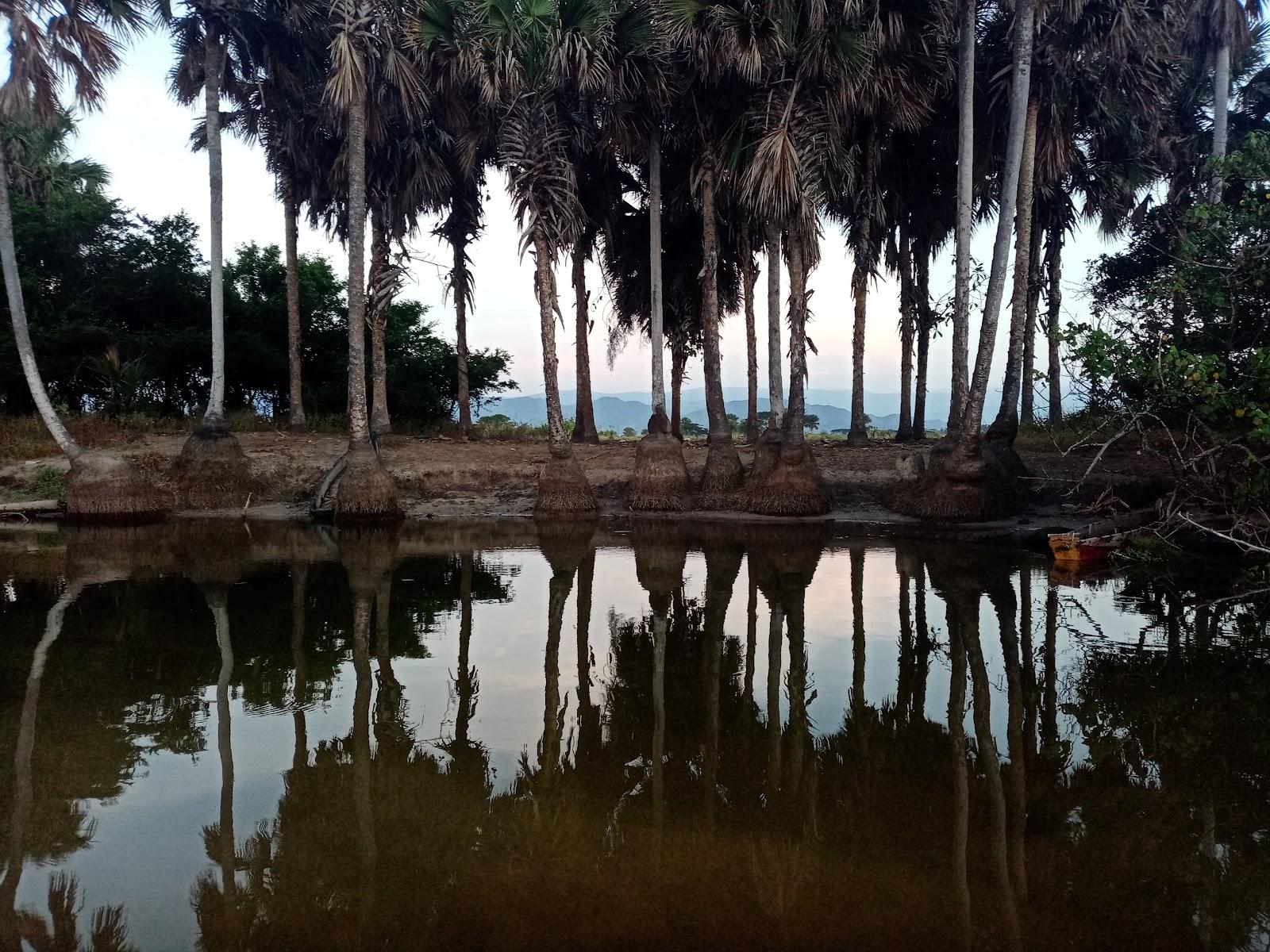 Sandee Boca Del Rio Park