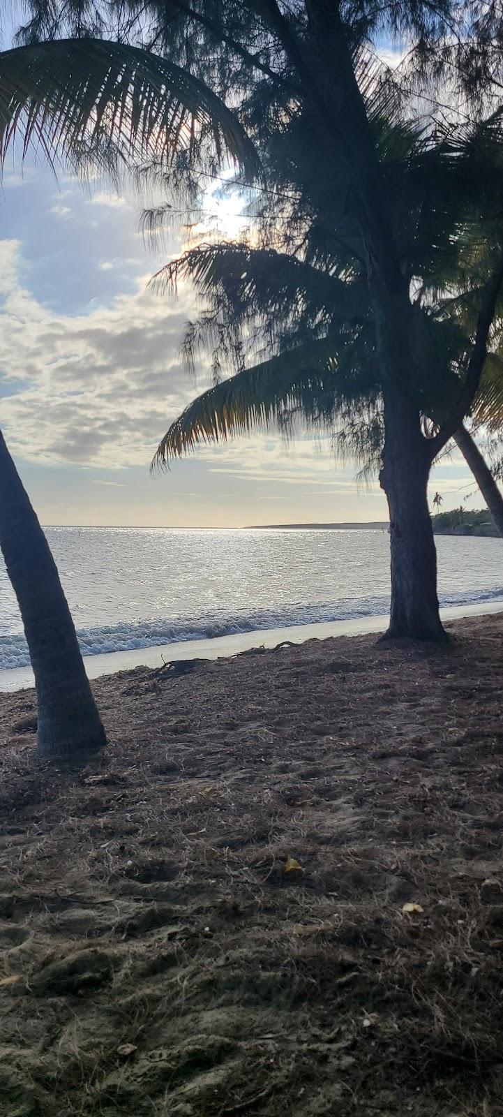 Sandee Cana Gorda Beach