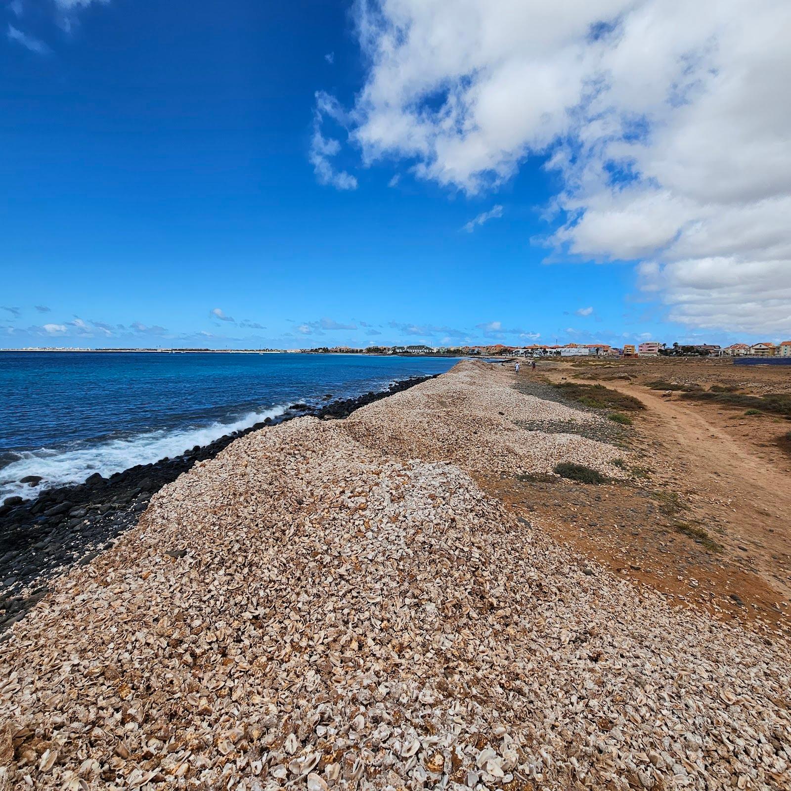 Sandee Shell Cemetery Beach