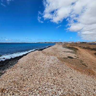 Sandee - Shell Cemetery Beach