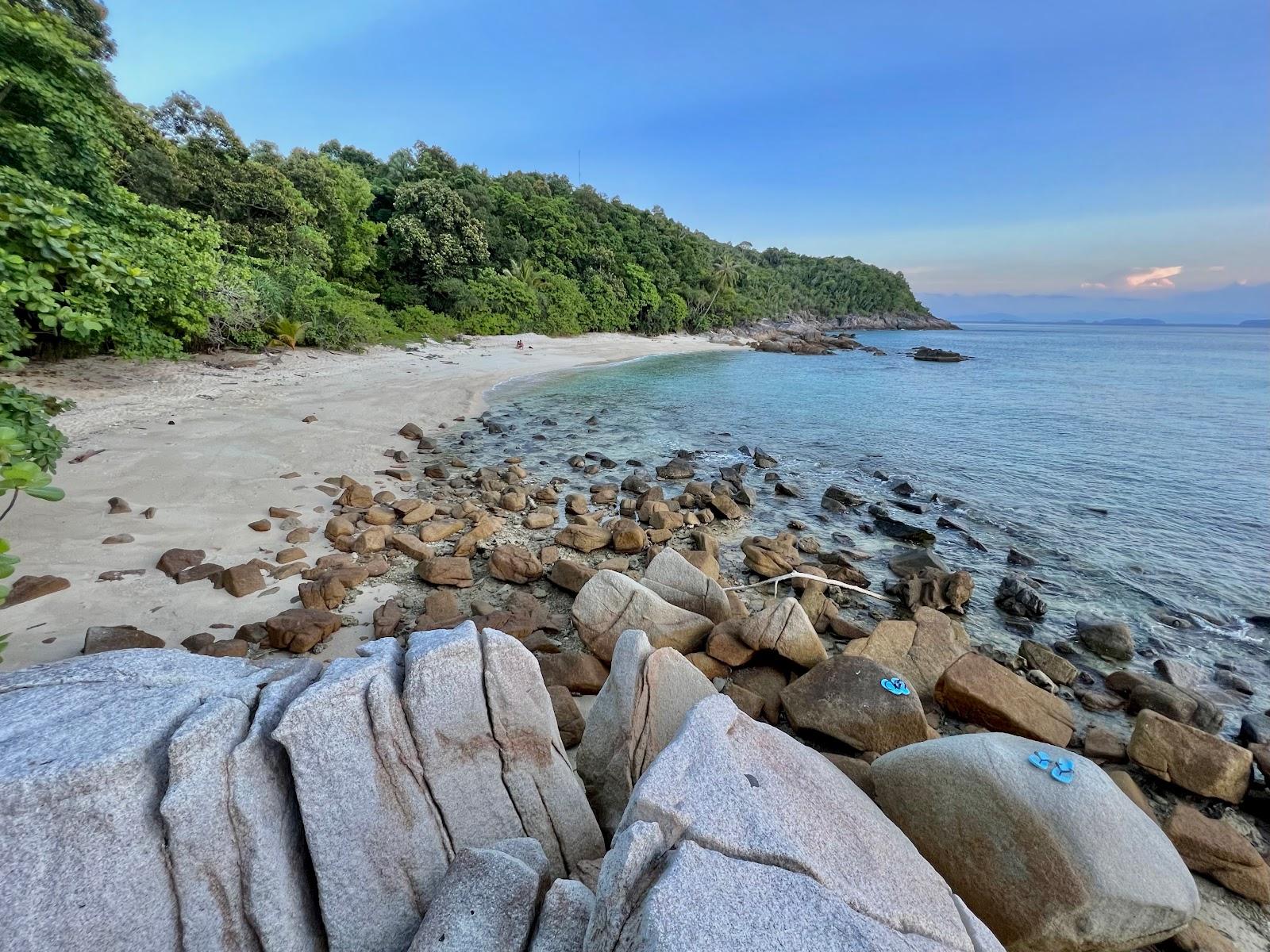 Sandee Wind Turbine Beach Photo