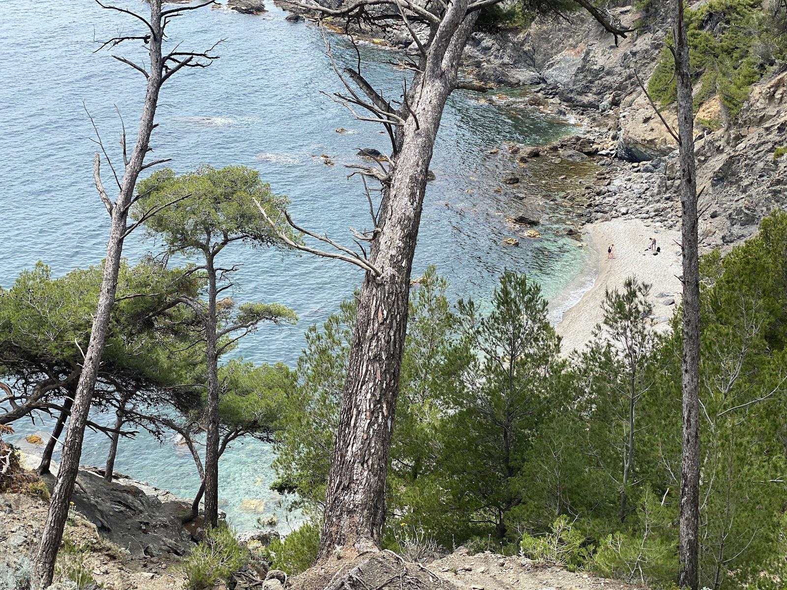 Sandee Plage De La Leque Photo