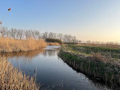 Sandee - Ouderkerkerplas Strand