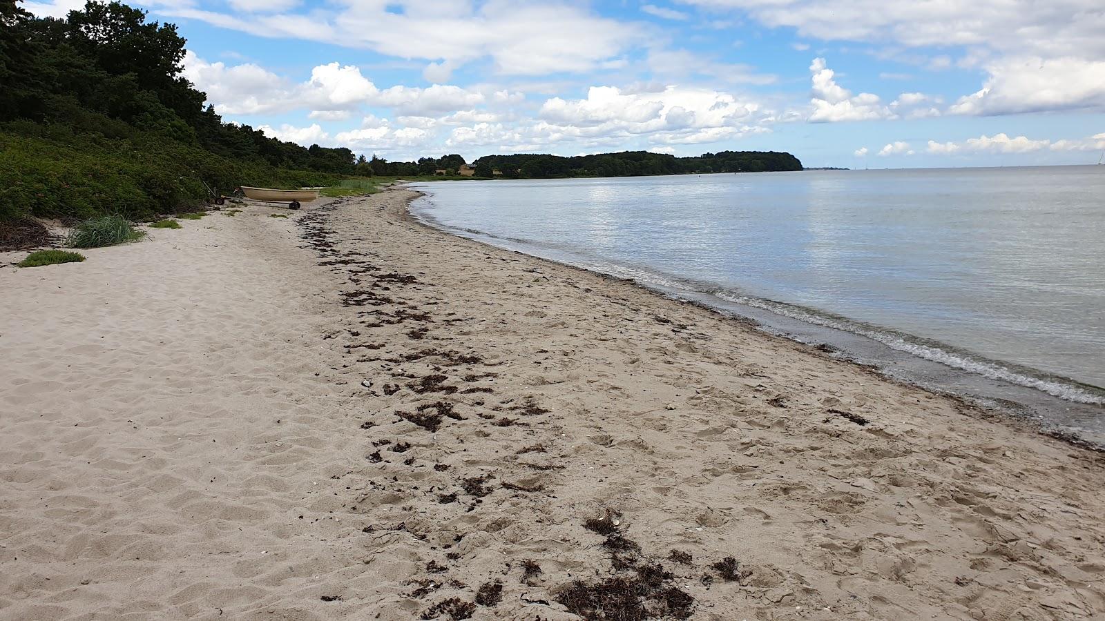 Sandee Elsehoved Strand Photo