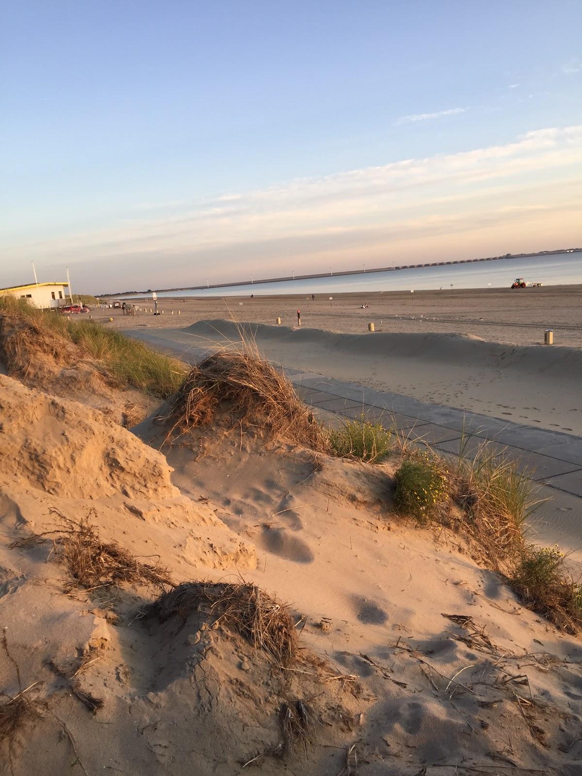 Sandee Rockanje Beach