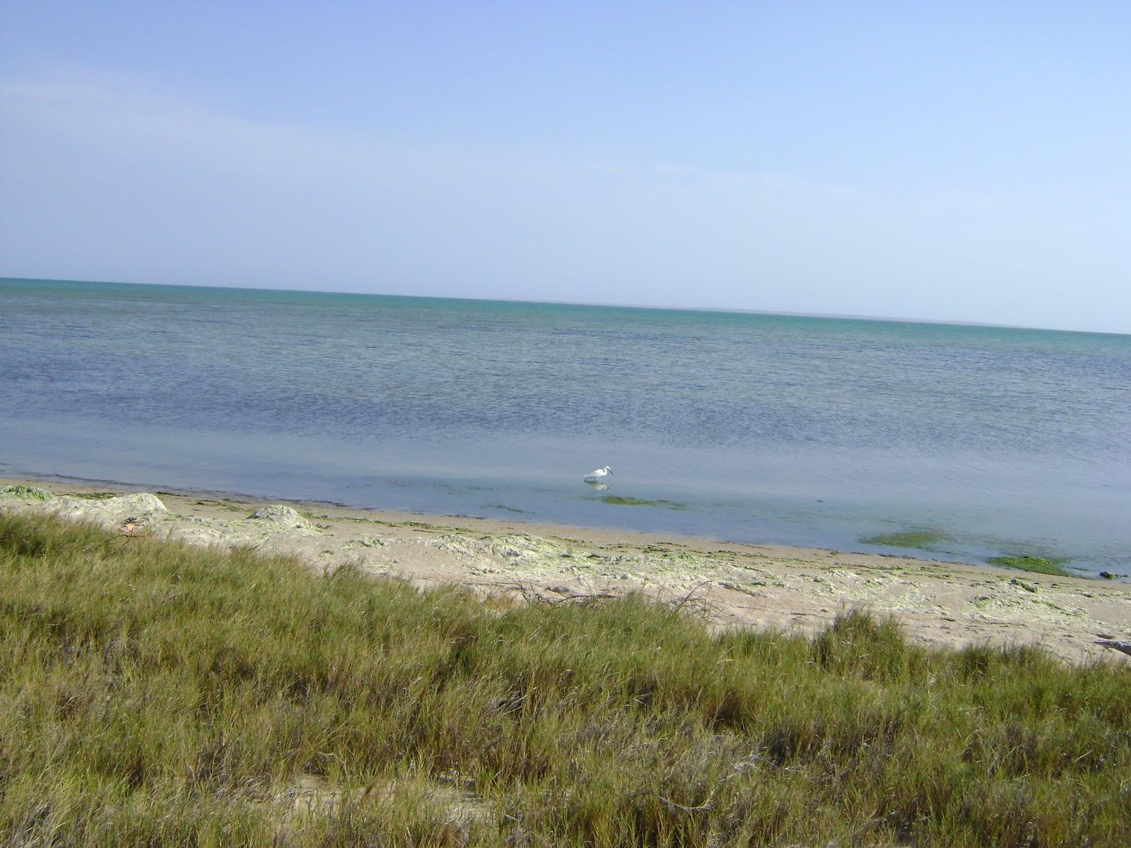 Sandee Playa Boca De Palo