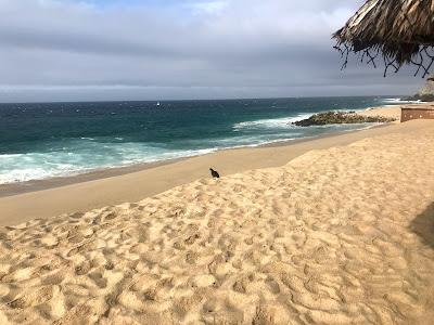 Sandee - Sandos Finisterra Los Cabos