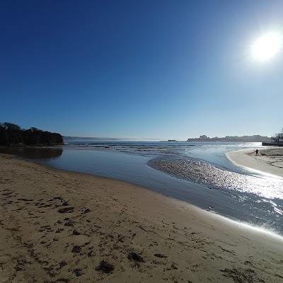 Sandee - Praia Da Ciscada