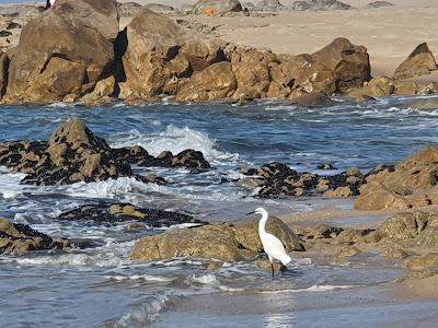 Sandee - Praia Do Fragosinho