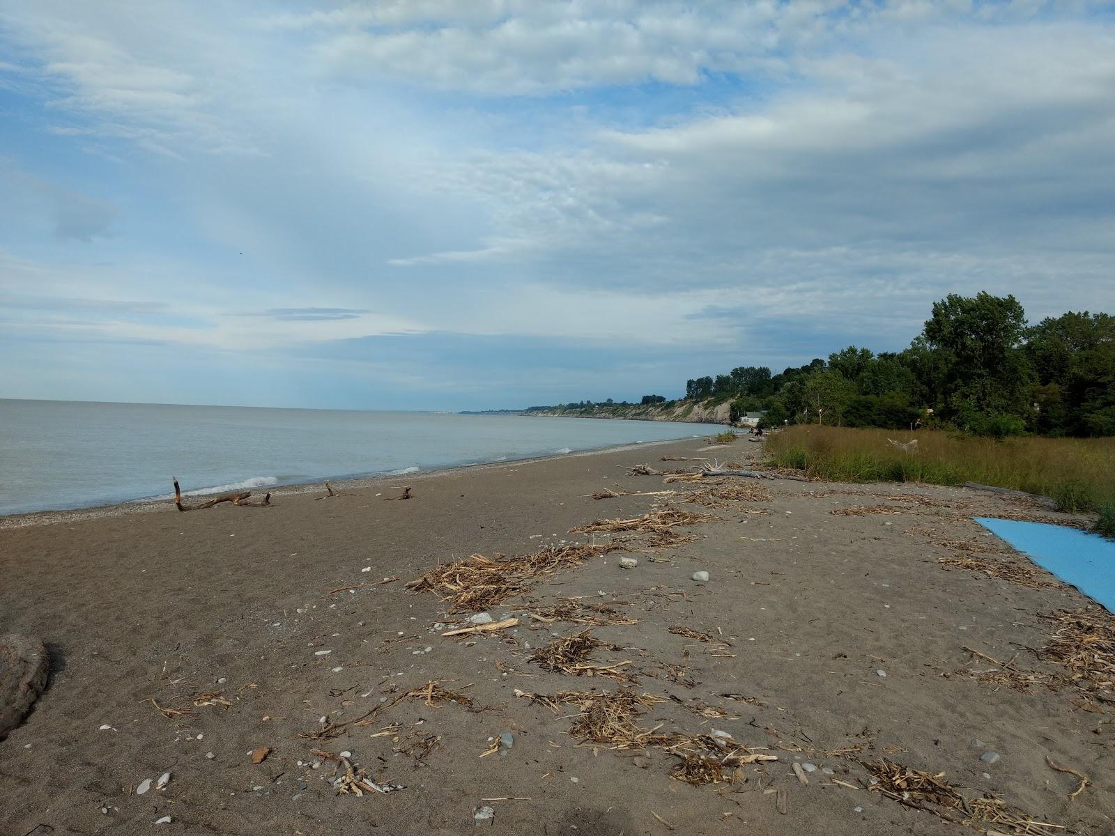 Sandee Waneeta Beach