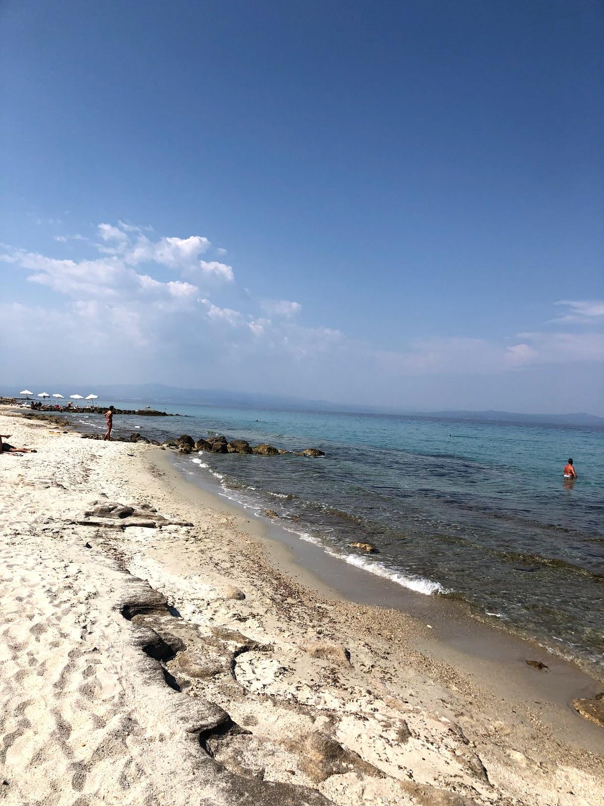 Sandee Punta Beach