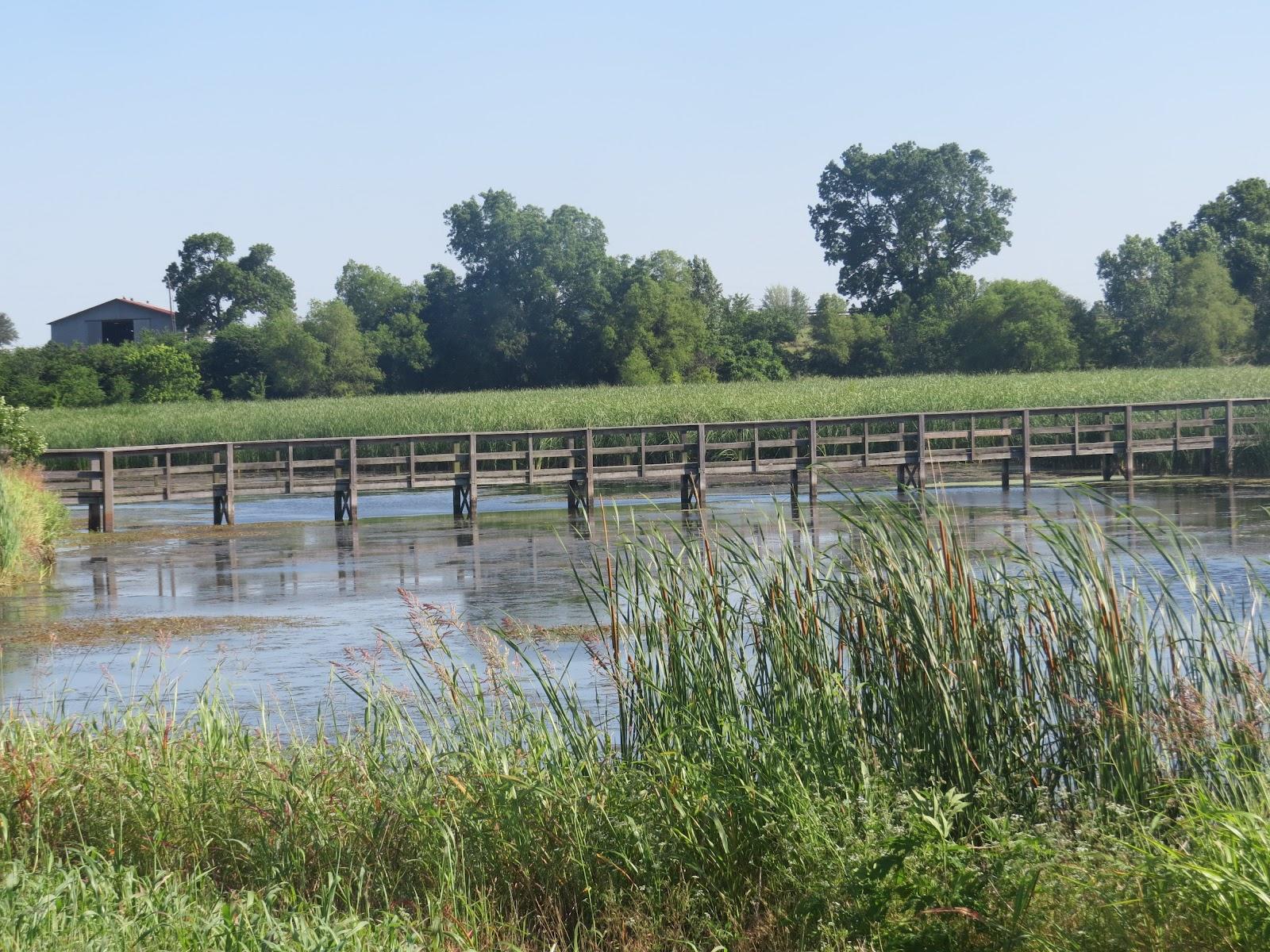 Sandee - Sand Beach Wetlands Conservation Area