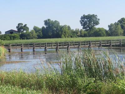 Sandee - Sand Beach Wetlands Conservation Area