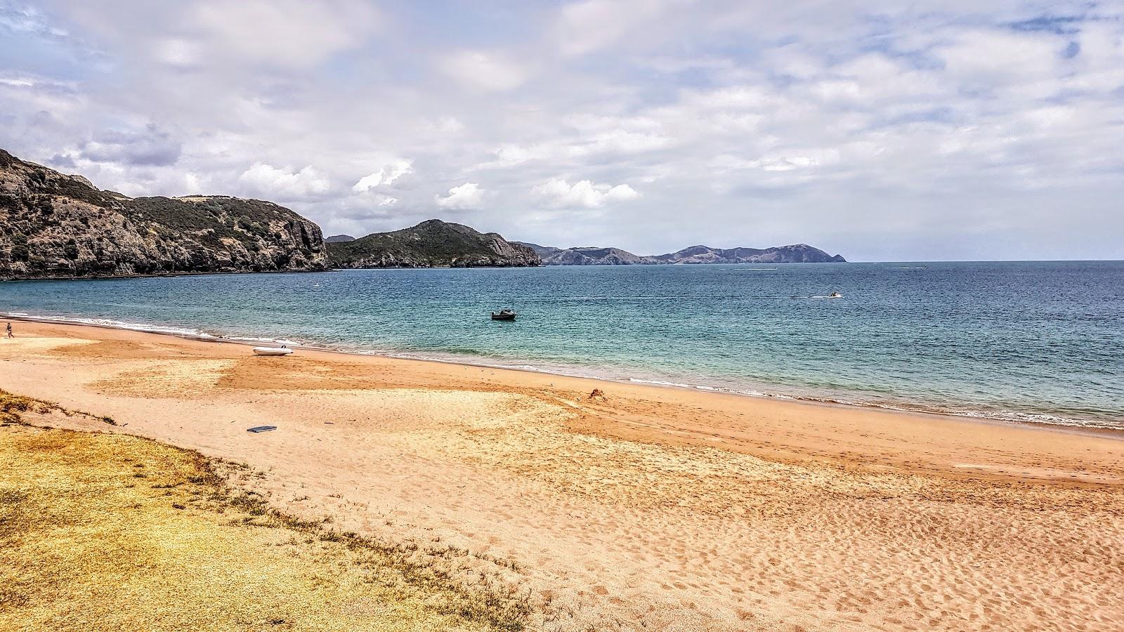 Sandee Tauranga Bay Beach Foreshore Reserve
