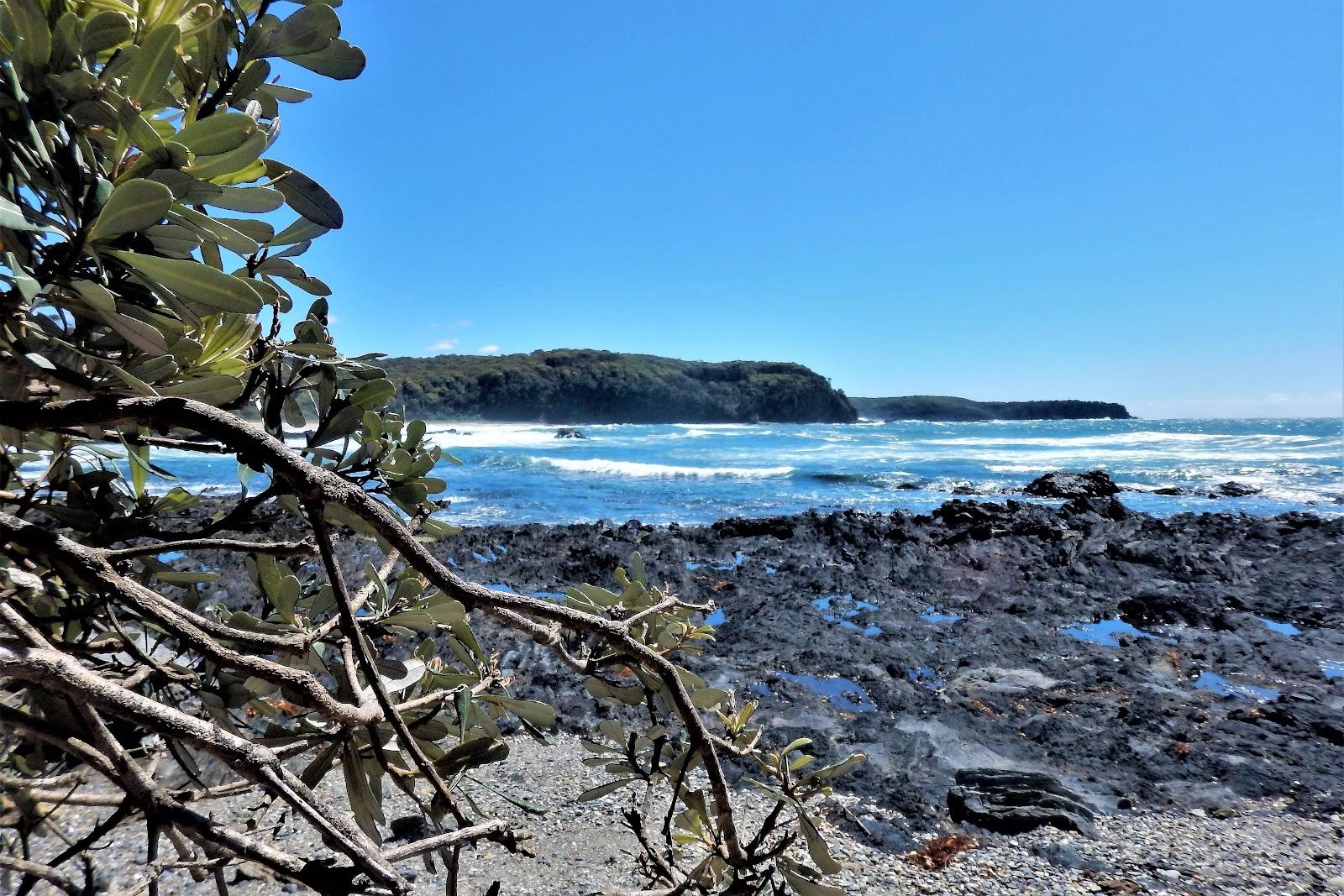 Sandee Oaky Beach Photo