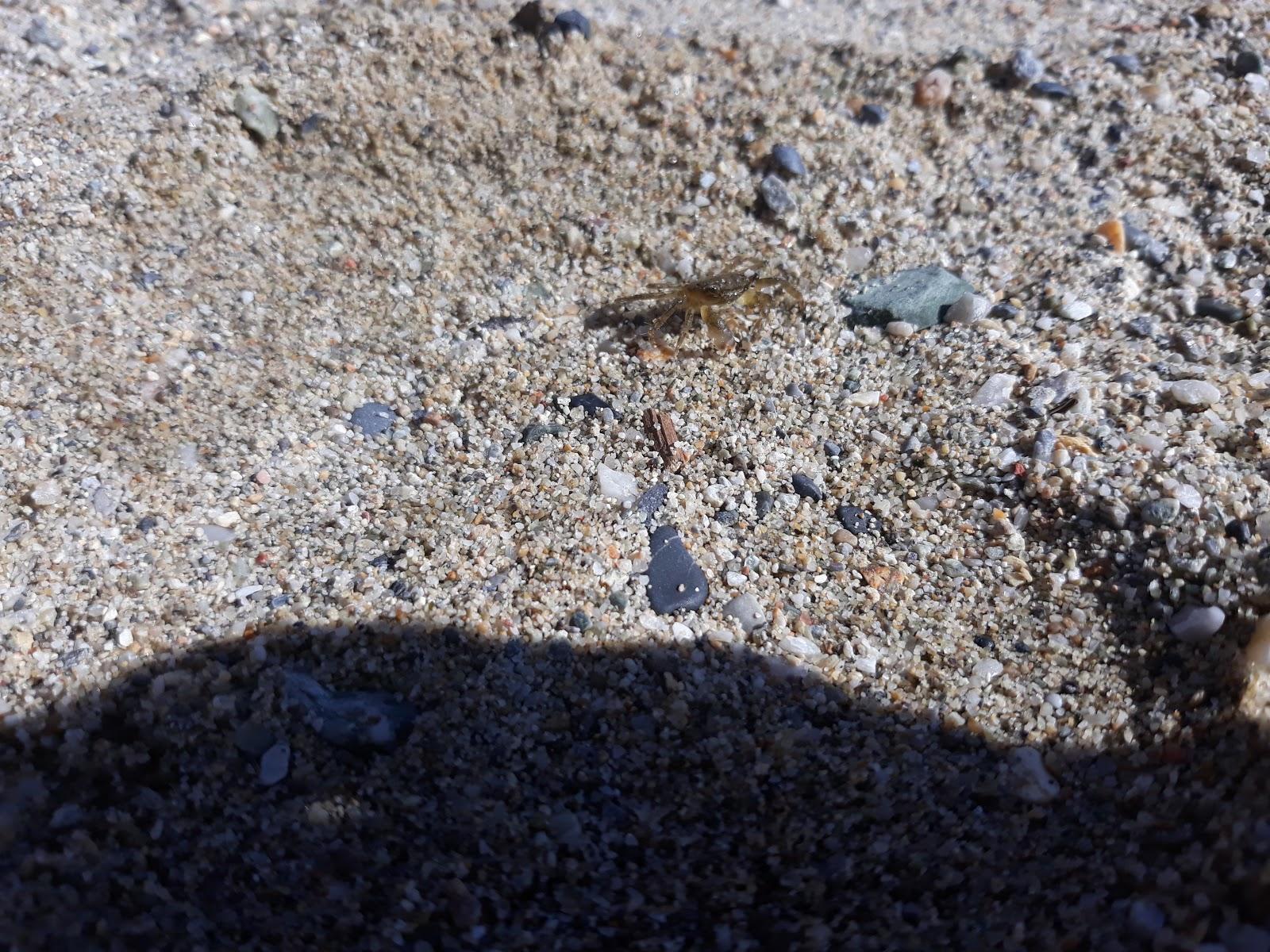 Sandee Spiaggia Tondello