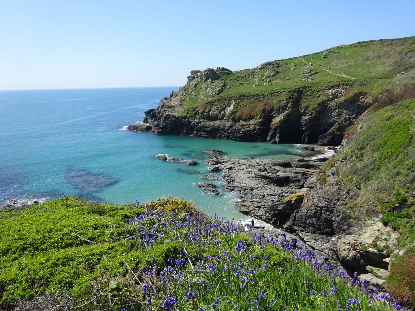 Sandee Bessy's Cove Beach