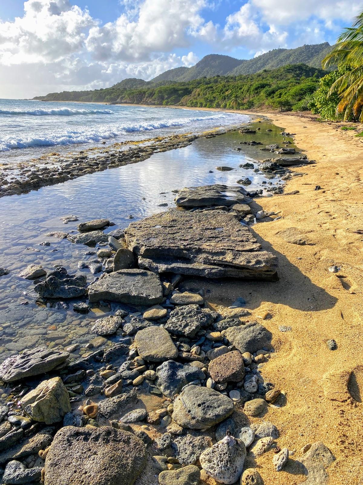 Sandee Punta Vaca Beach