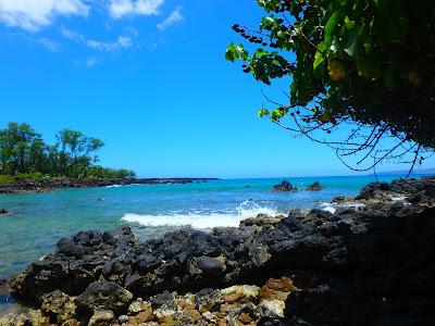 Sandee - Ahihi-Kina'U Natural Area Reserve