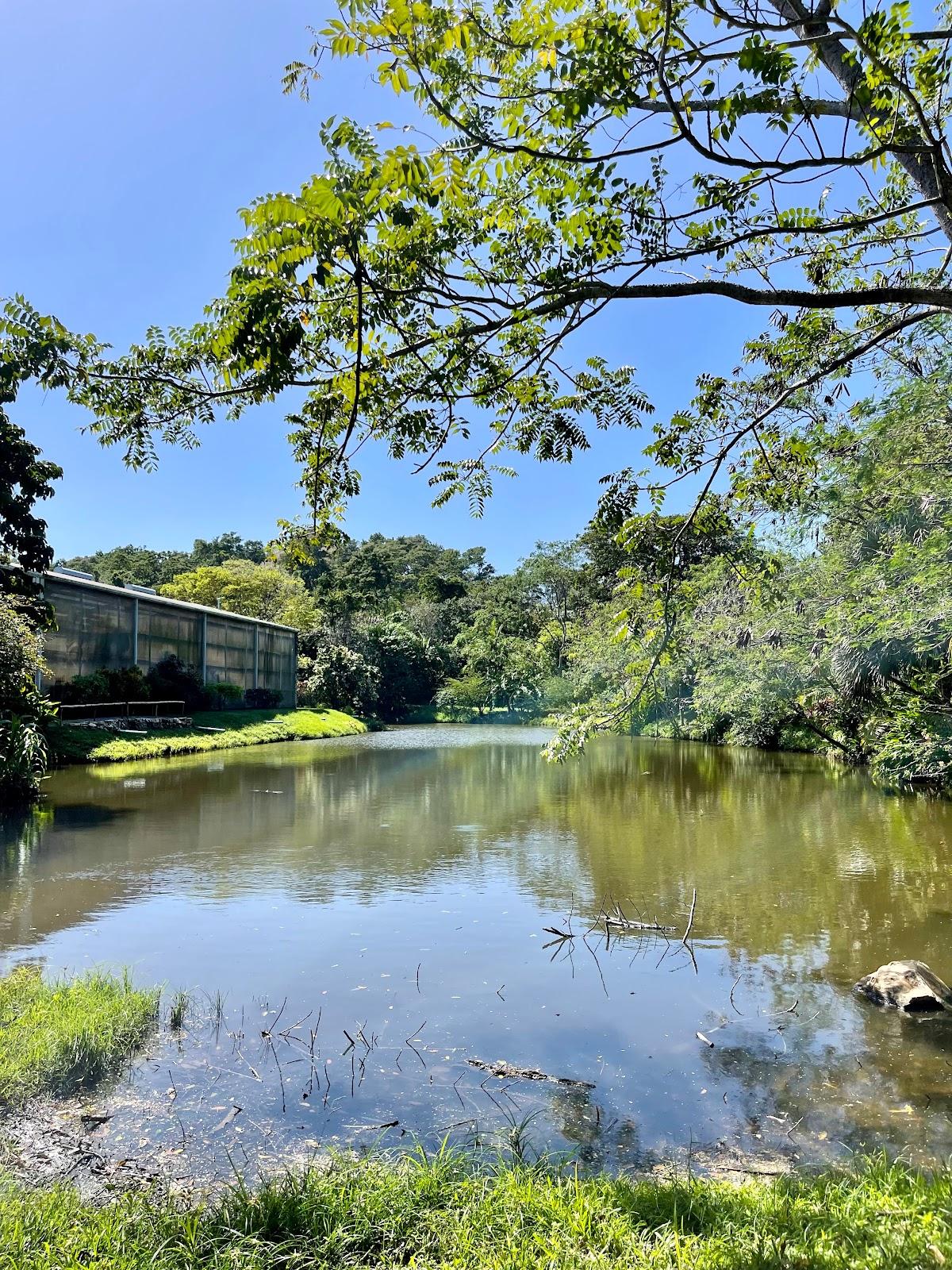 Sandee - The Blue Harbor Tropical Arboretum