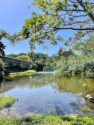 Sandee - The Blue Harbor Tropical Arboretum