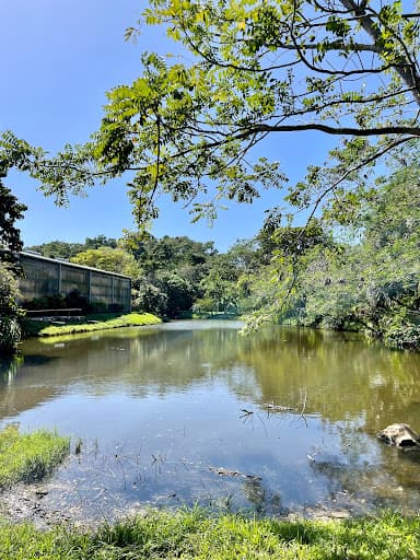 Sandee - The Blue Harbor Tropical Arboretum