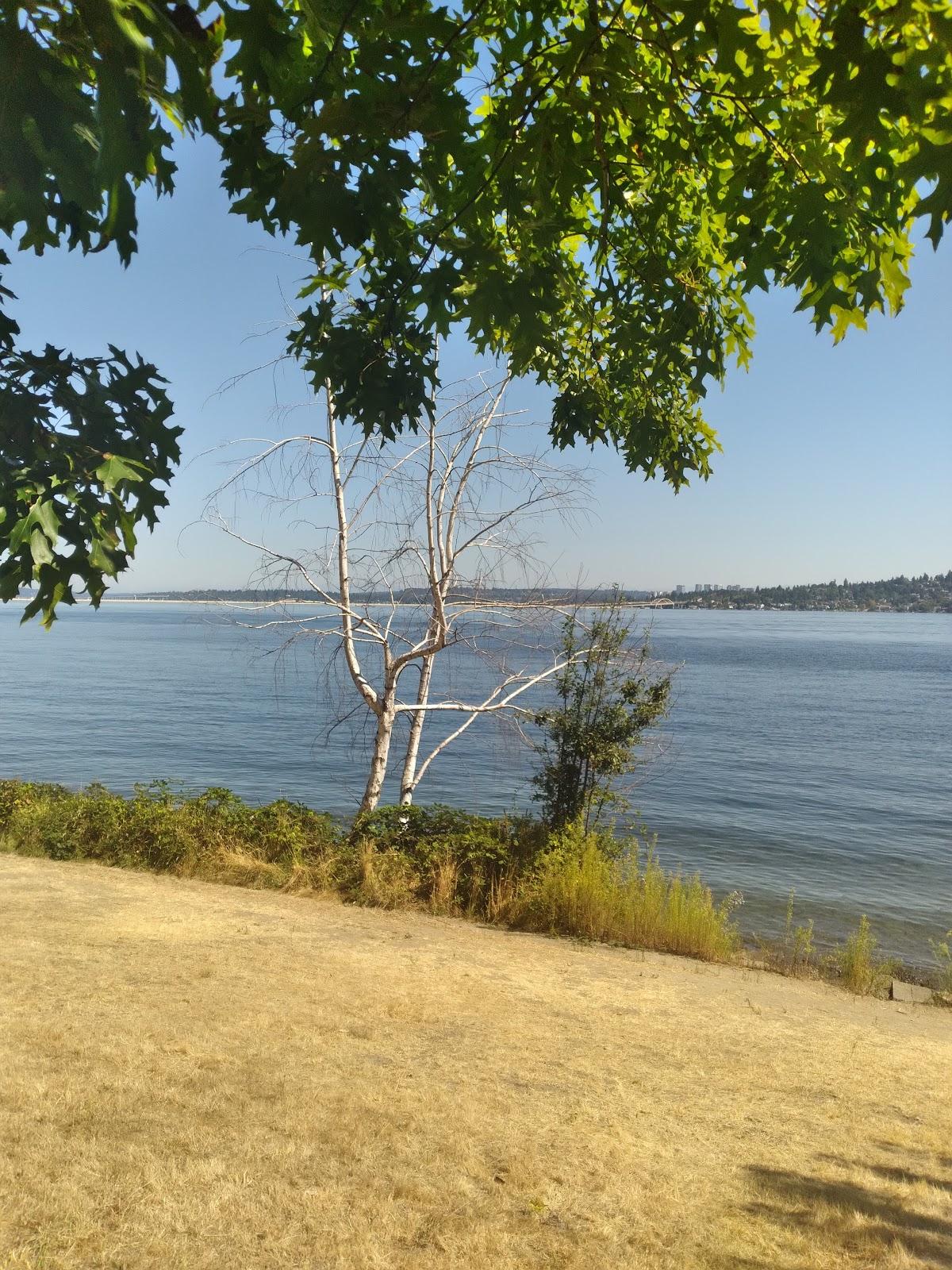 Sandee Lake Washington Boulevard Park Photo