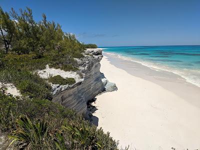 Sandee - Lighthouse Beach