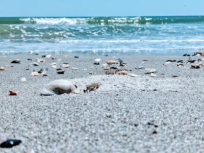 Sandee - Hangar's Beach