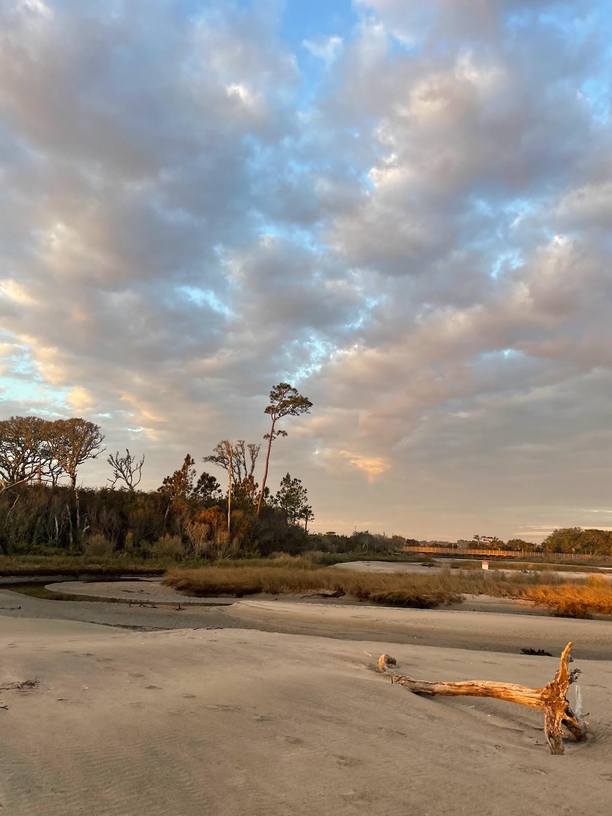 Sandee - Big Talbot Island State Park