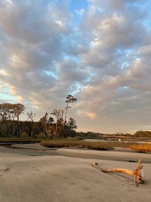 Sandee - Big Talbot Island State Park