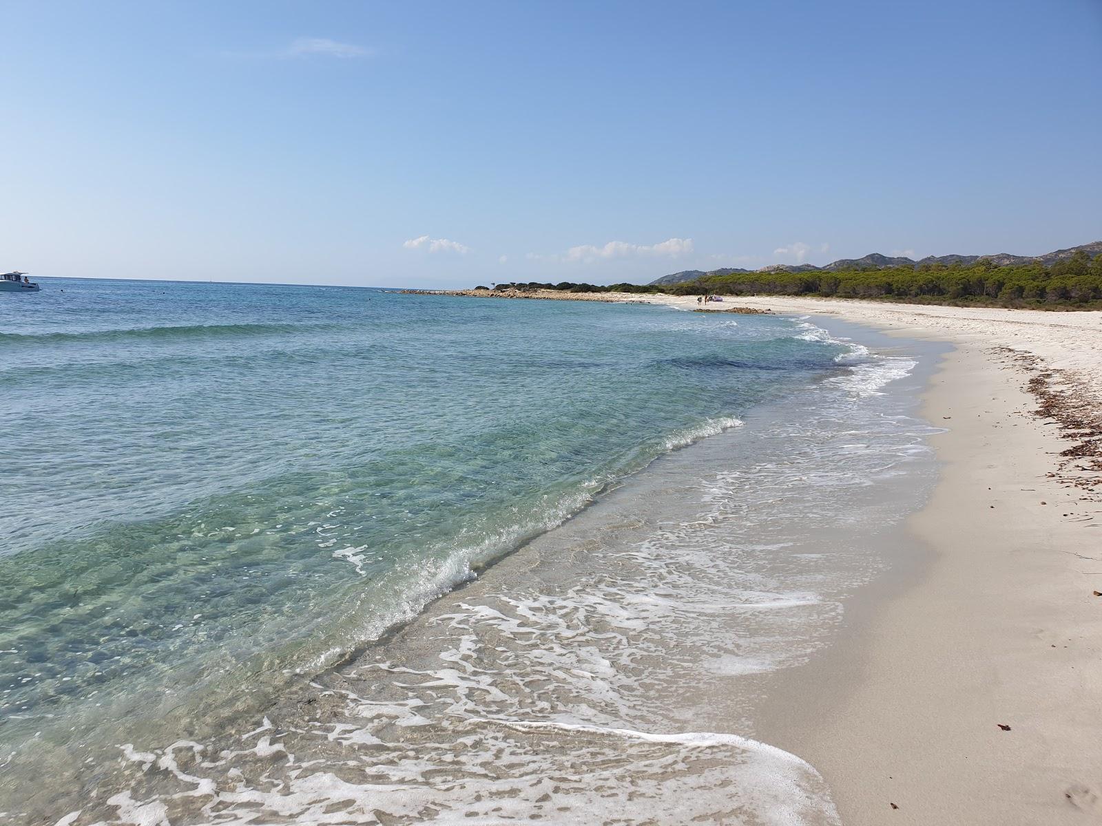 Sandee Spiaggia Cannazzellu Photo