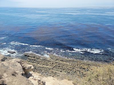 Sandee - Sunken City