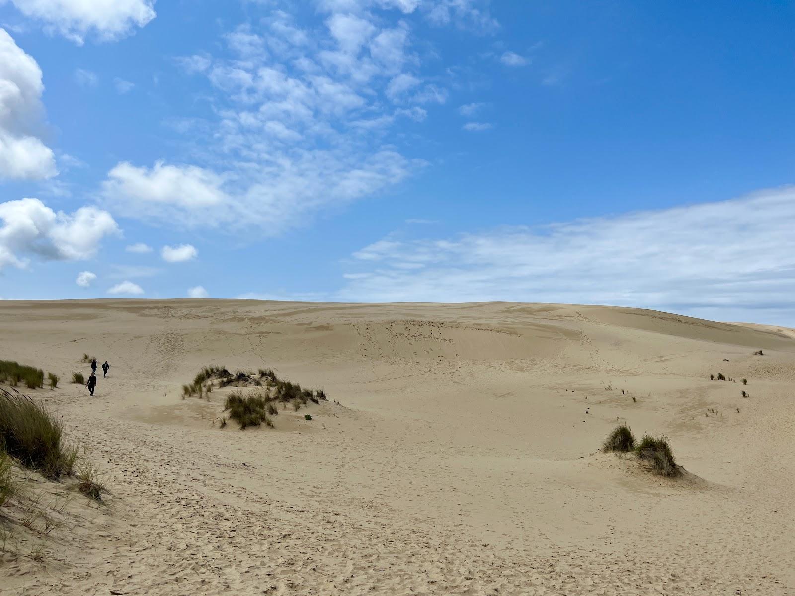 Sandee Oregon Dunes National Rec Area