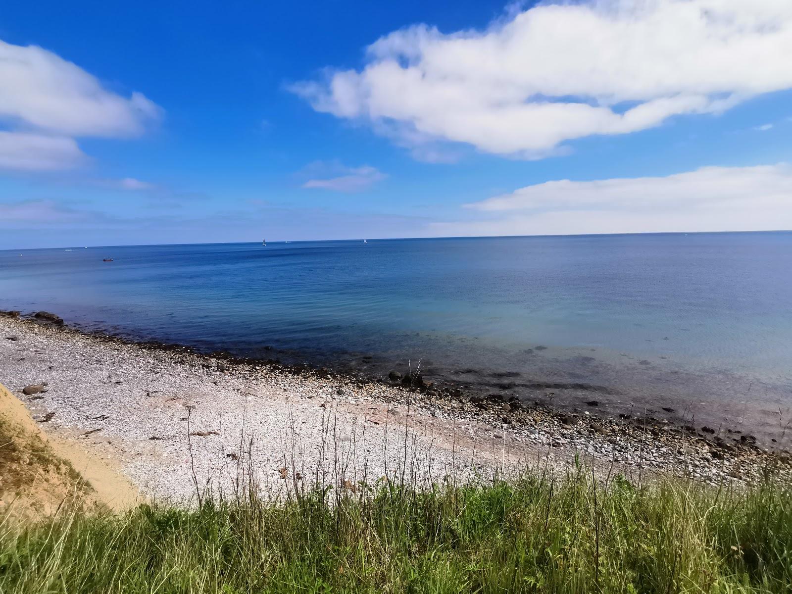 Sandee Meerkohl An Der Eckernforder Bucht