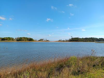 Sandee - Big Talbot Island State Park