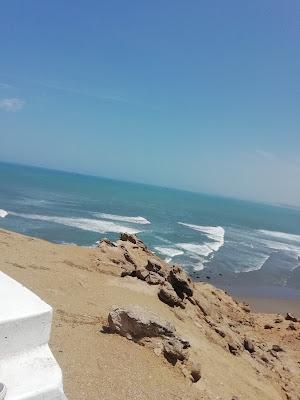 Sandee
