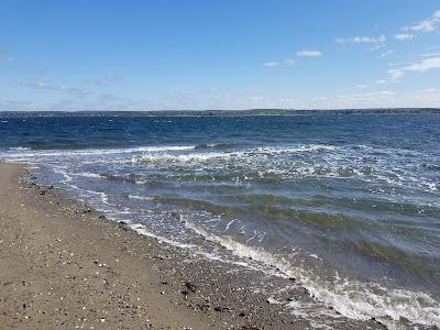 Sandee - Mccorrie Point Beach