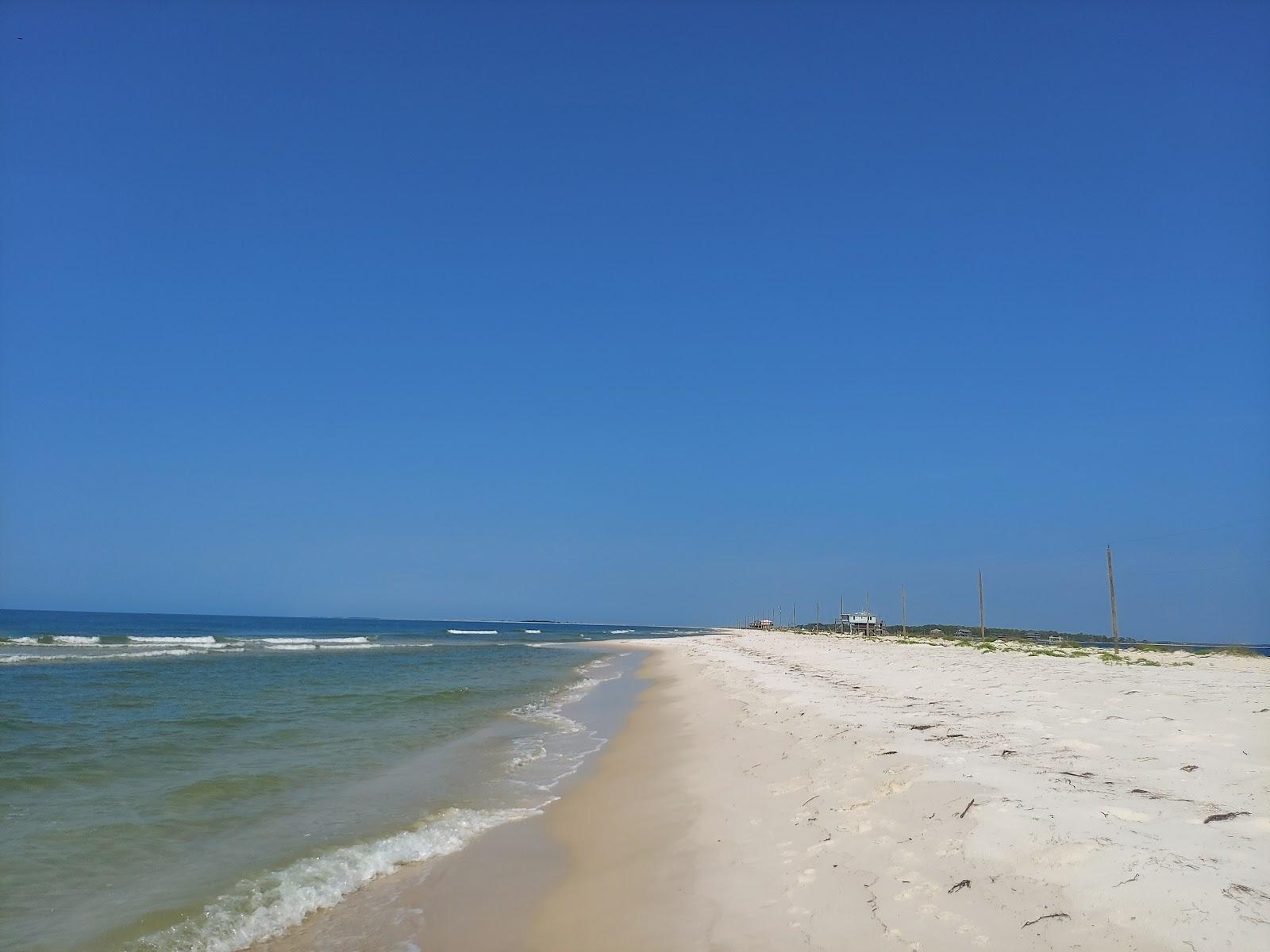 Sandee Dog Island