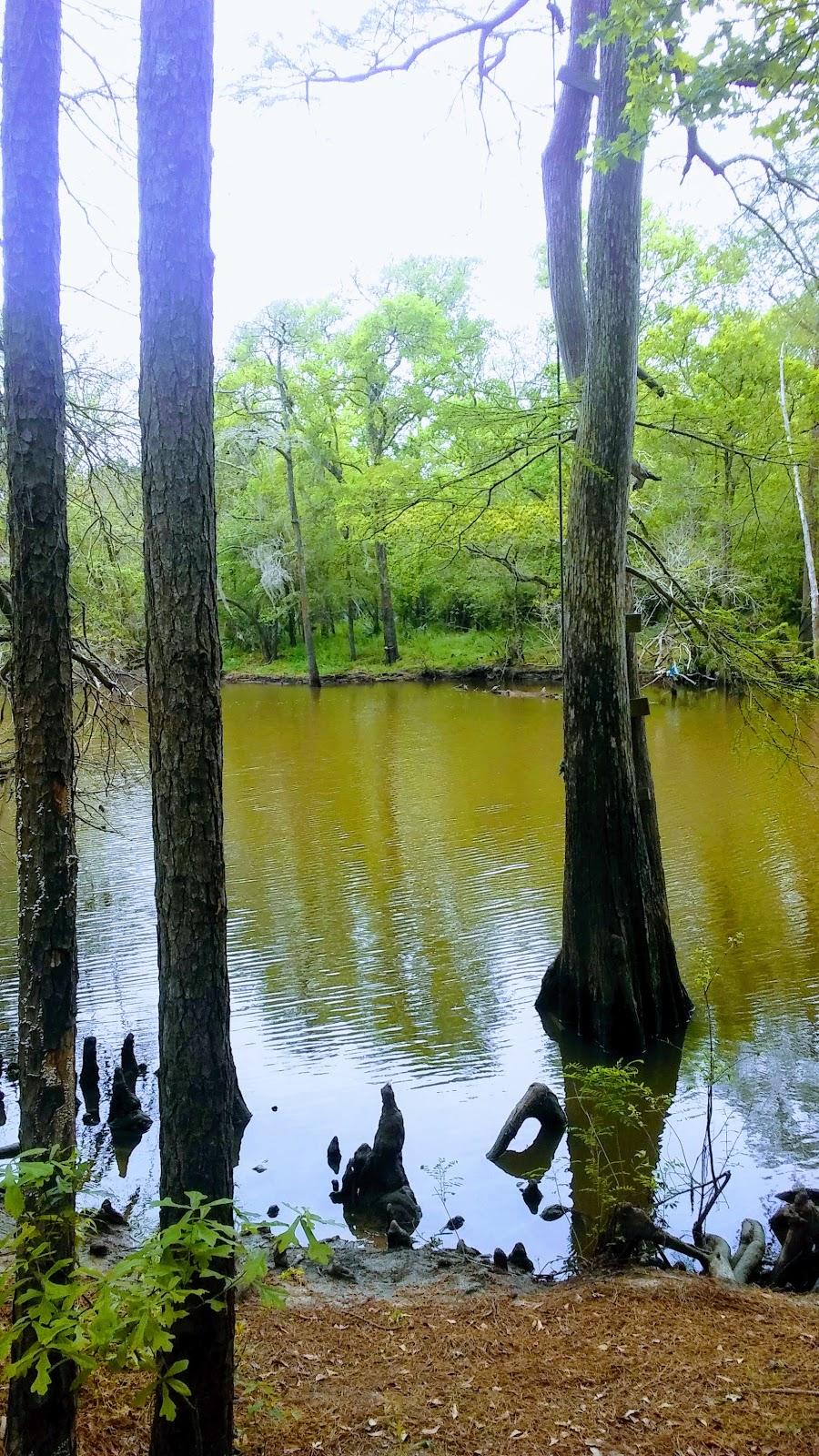 Sandee Chambers County