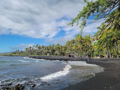 Sandee - Punalu'U Beach Park