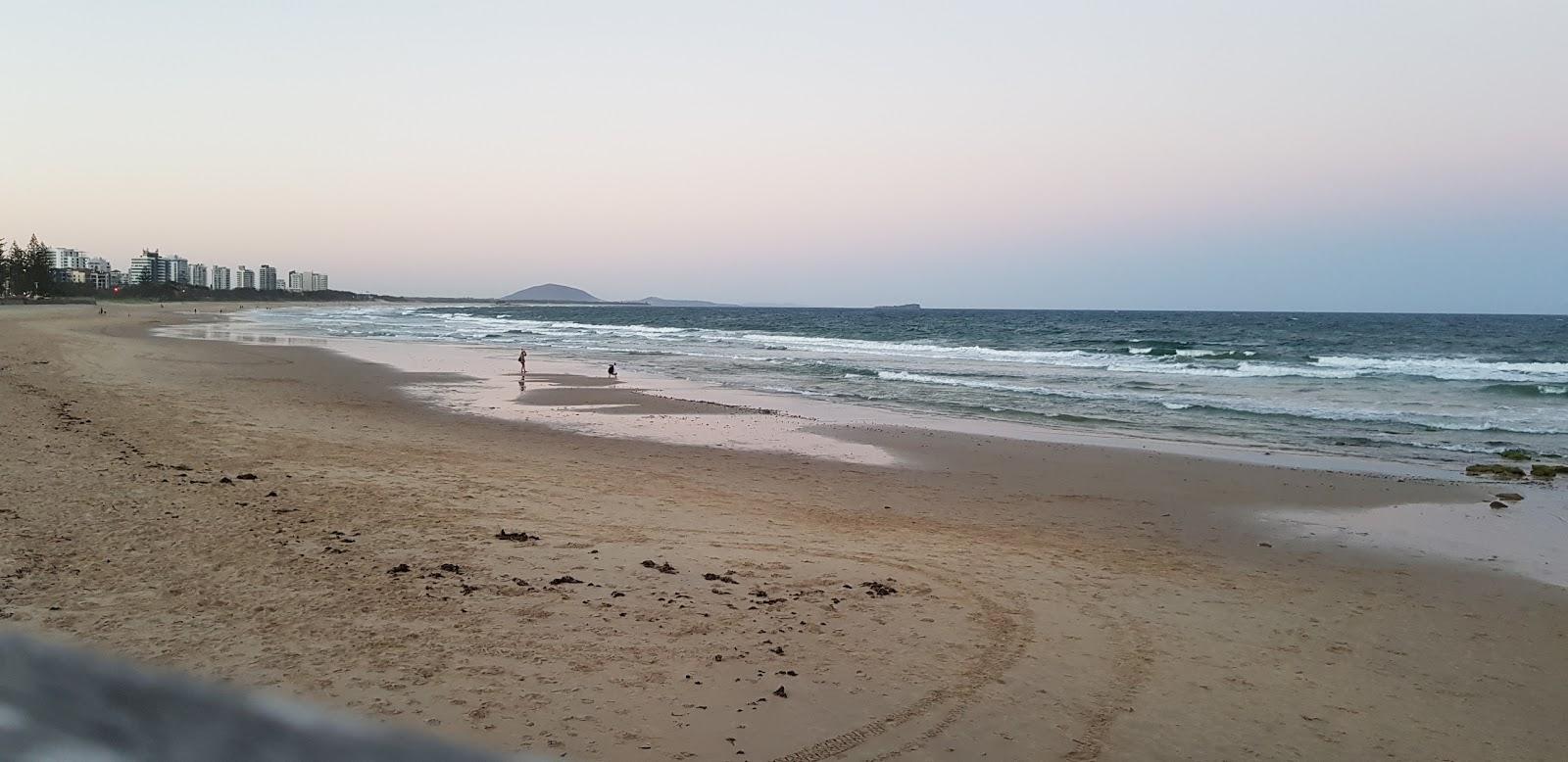 Sandee - Alexandra Patrolled Beach