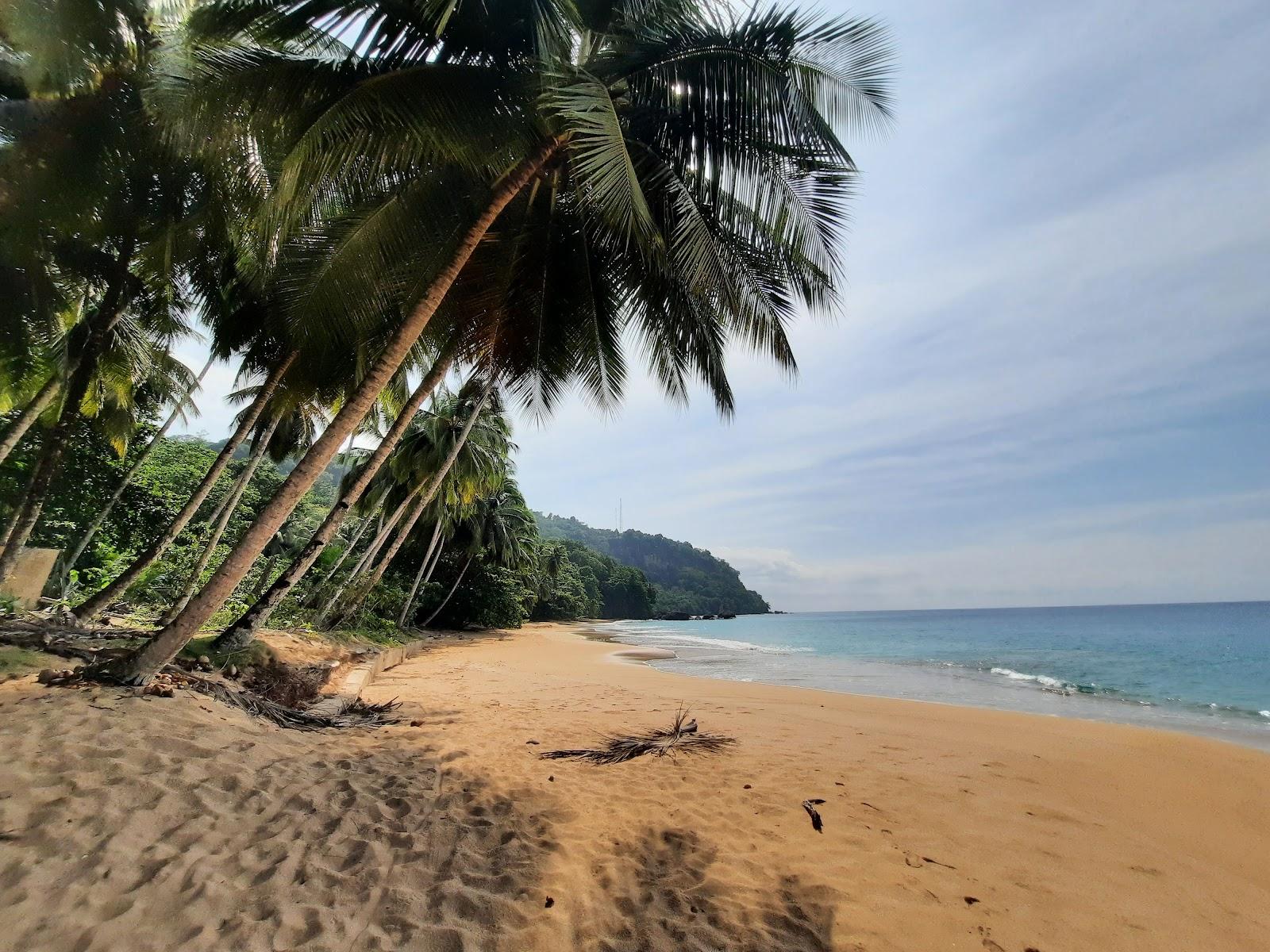 Sandee Praia Macaco