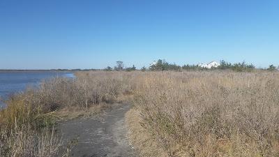 Sandee - Beach Plum Island