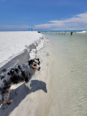 Sandee - Camp Helen State Park Beach