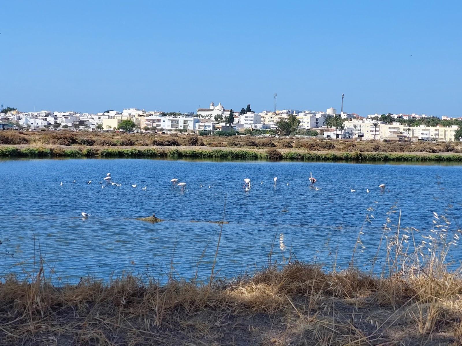 Sandee - Praia Dos Cavacos