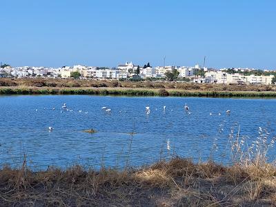 Sandee - Praia Dos Cavacos