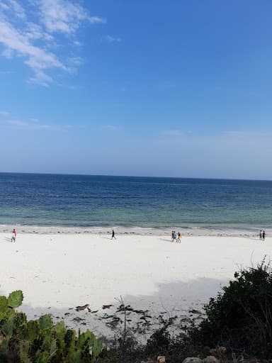 Sandee - Vidazini Beach