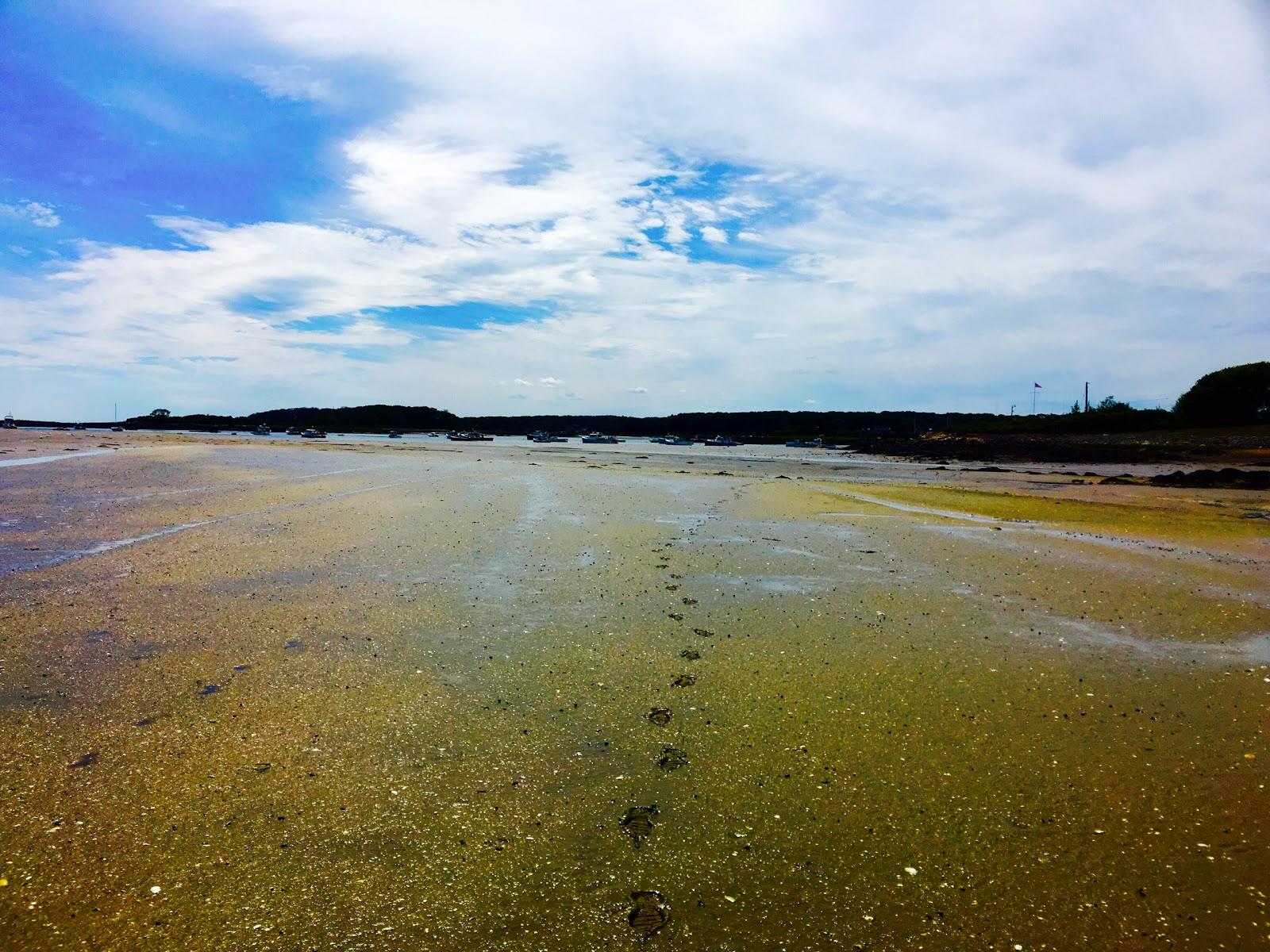 Sandee Kennebunkport Conservation Trust (Redin Island)