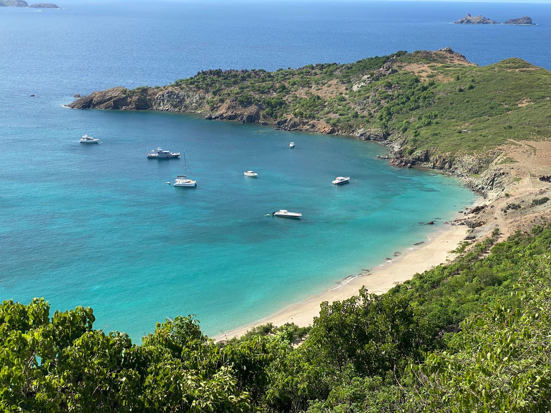 Sandee Colombier Beach Photo